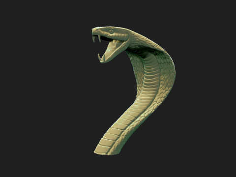 cobra cabeza de serpiente2 Modelo 3D