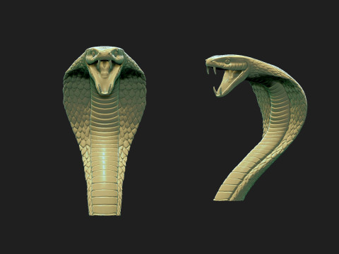 Kobra Snakehead2 Model 3D