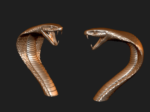Kobra Snakehead2 Model 3D