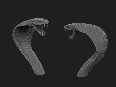 Kobra Snakehead2 Model 3D