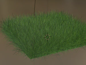 Grass 3D Model