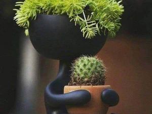 Human pot print3d 3D Model