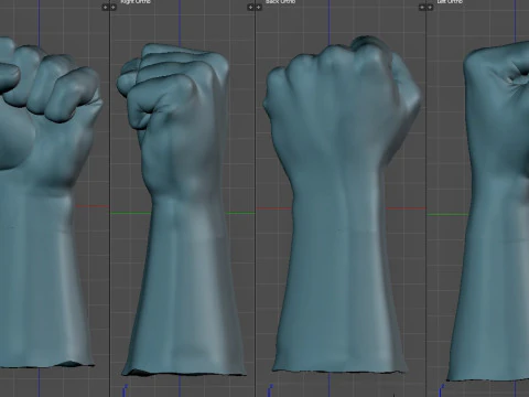 Wydruk pięści 3d Model 3D