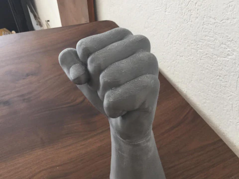 Fist print3d 3D Model