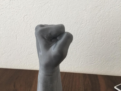 Fist print3d Modelo 3D