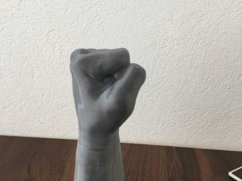 Fist print3d 3D Model