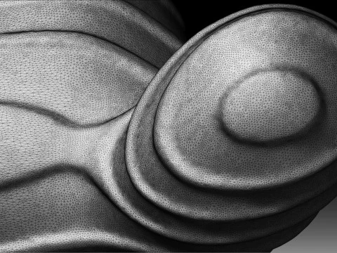 Defender 3d printing 3D Print Model