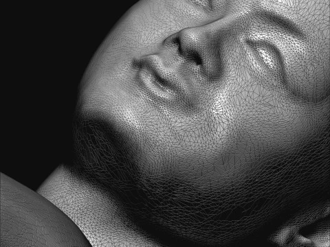 Grace in Motion 3D Print Model