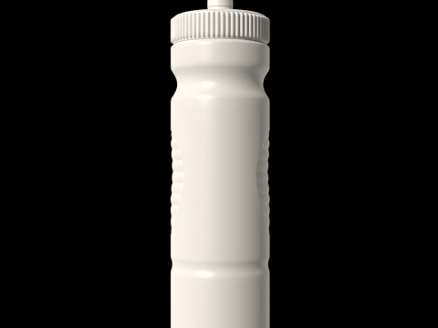 Water Bottle Mockup Modèle 3D
