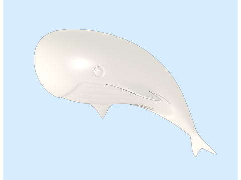 Whale Modello 3D