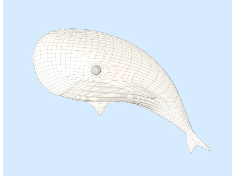 Baleia Modelo 3D