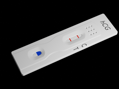 Pregnancy Test Kit 3D मॉडल