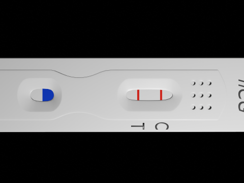 Pregnancy Test Kit 3D 모델