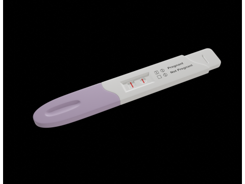 Pregnancy Test Kit 3Dモデル