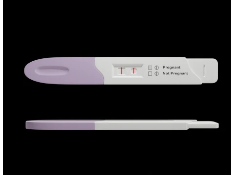Pregnancy Test Kit 3D Model