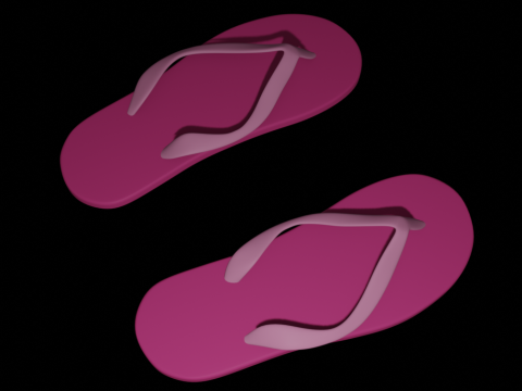 Flip-Flops Modelo 3D