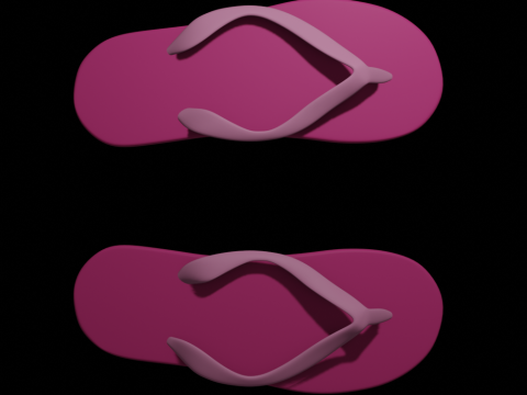 Flip-Flops Modelo 3D