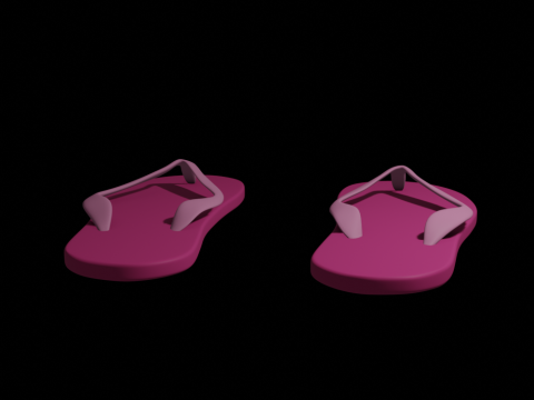 Flip-Flops Modelo 3D