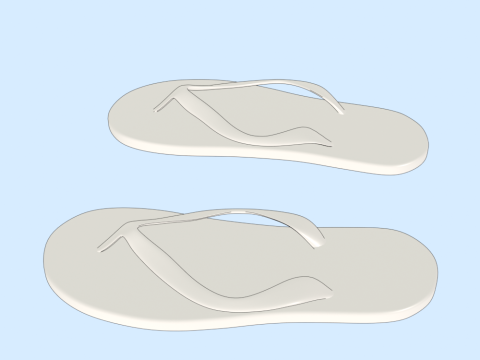 Flip-Flops Modelo 3D