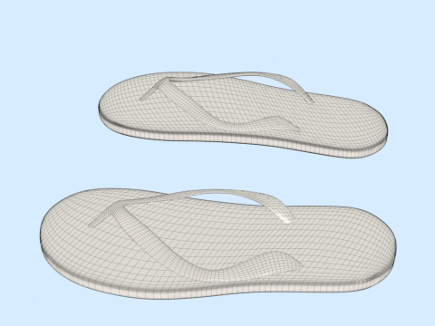 Flip-Flops Modelo 3D