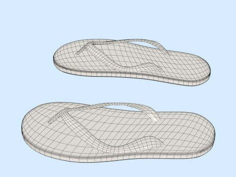 Flip-Flops Modelo 3D