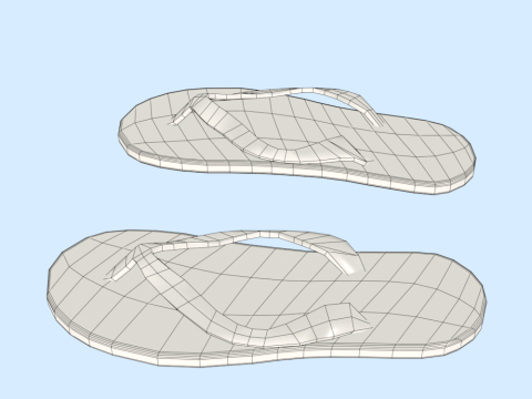 Flip-Flops Modelo 3D