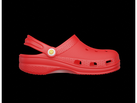 Flip-flops Model 3D