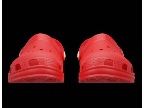 Flip-flops Model 3D