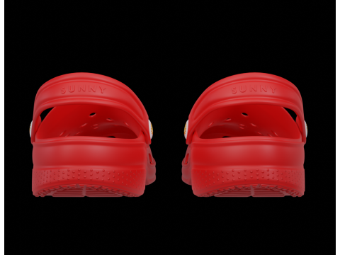 Flip-flops Model 3D