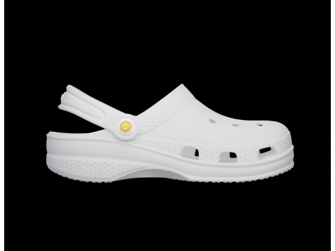 Flip-flops 3D मॉडल