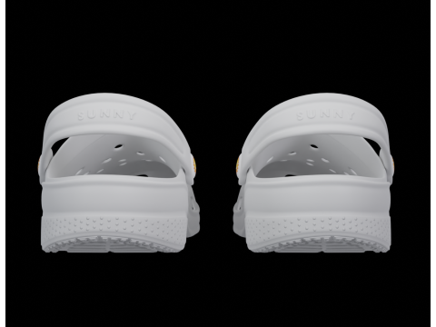 Flip-flops 3D मॉडल