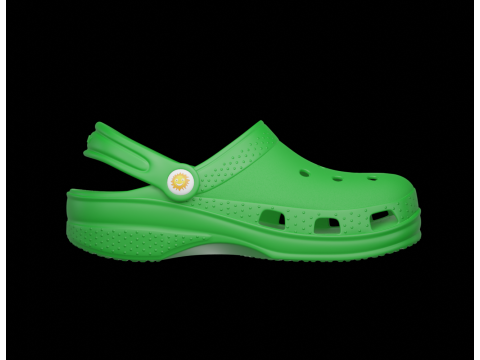 Flip-flops Model 3D