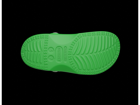 Flip-flops Model 3D