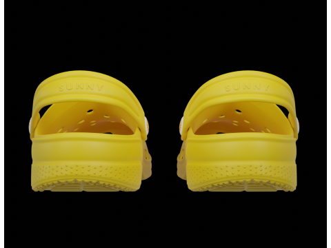 Flip-flops 3D Model