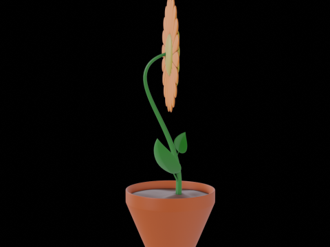 Flower Character Modello 3D