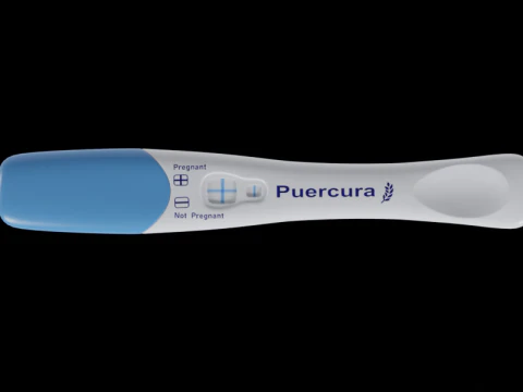 Pregnancy Test Kit 3D Model