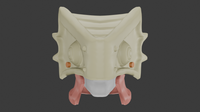 Gugu Adult Mask To Your Eternity 3D 模型 .c4d .max .obj .3ds .fbx .stl .blend 
