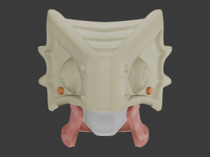Gugu Adult Mask To Your Eternity 3Dモデル