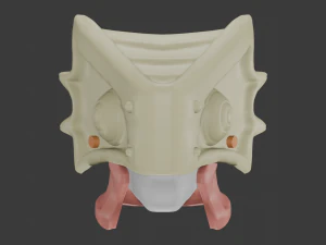 Gugu 成人面膜给您永恒 3D 模型