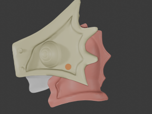 Gugu Adult Mask To Your Eternity 3D 模型