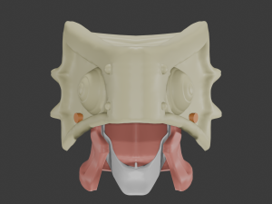 Gugu Adult Mask To Your Eternity 3D 模型