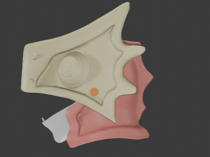 Gugu Adult Mask To Your Eternity 3D 模型