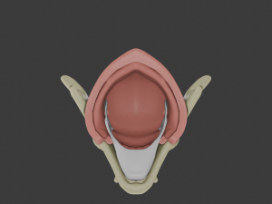 Gugu Adult Mask To Your Eternity 3D 模型