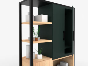 Modern Shelf-closet 3D Model