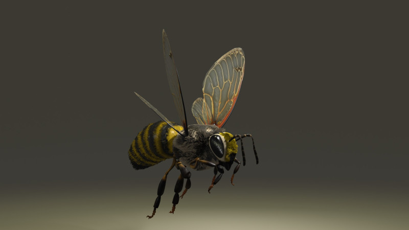 BEE WORKER 3Dモデル .c4d .max .obj .3ds .fbx .stl .blend 