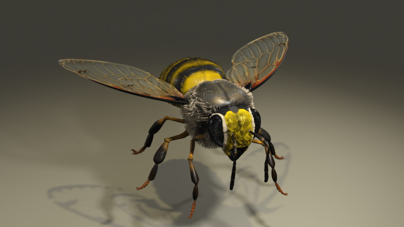BEE WORKER ANIMATED 3D Модель .c4d .max .obj .3ds .fbx .stl .blend