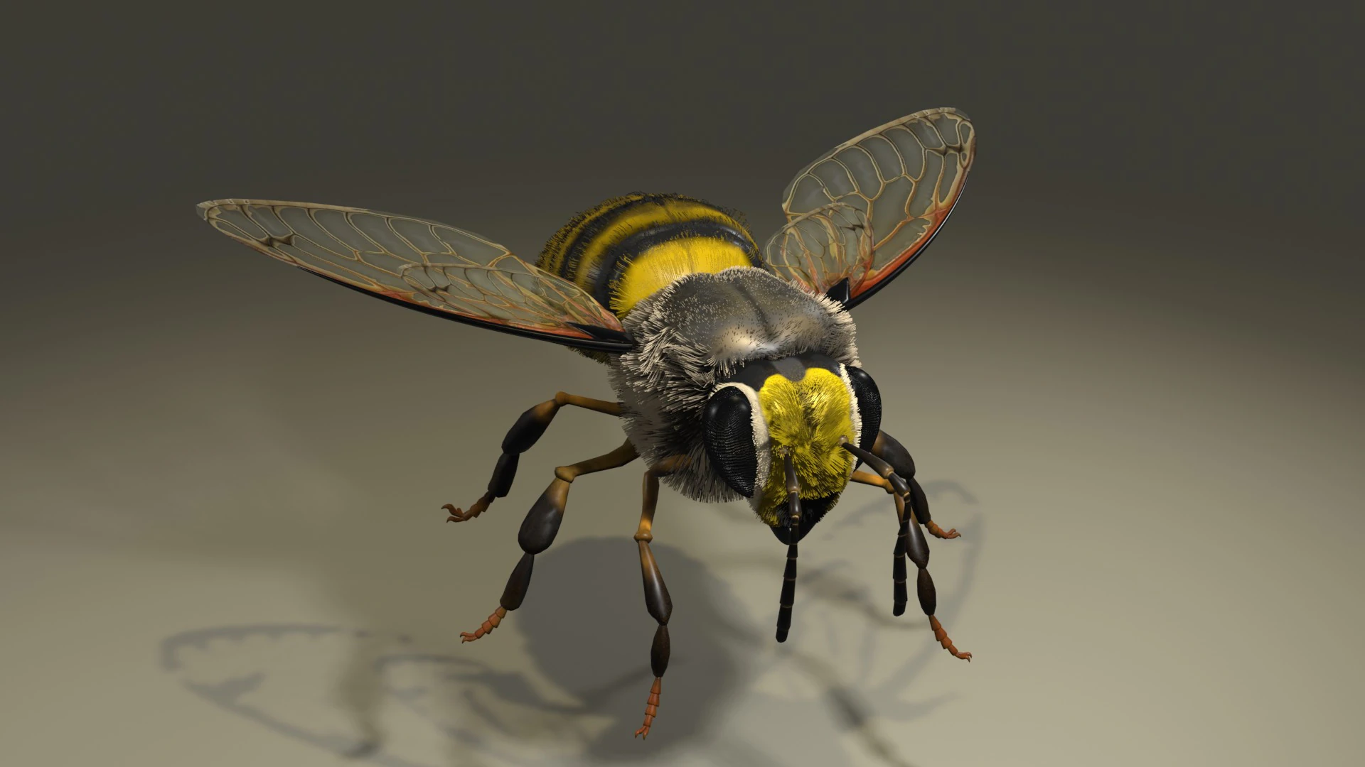 BEE WORKER ANIMATED 3D Model .c4d .max .obj .3ds .fbx .stl .blend