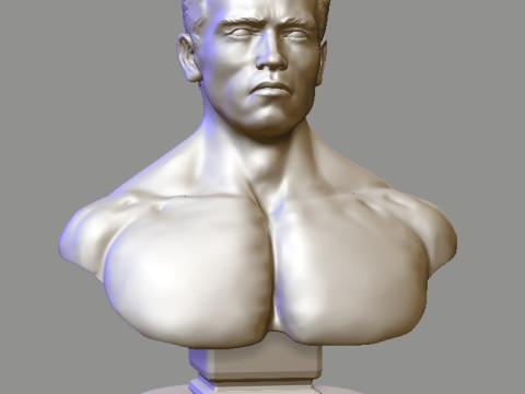 Arnold Schwarzenegger 3Dプリントモデル