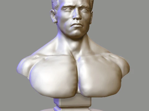 Arnold Schwarzenegger Modello di stampa 3D