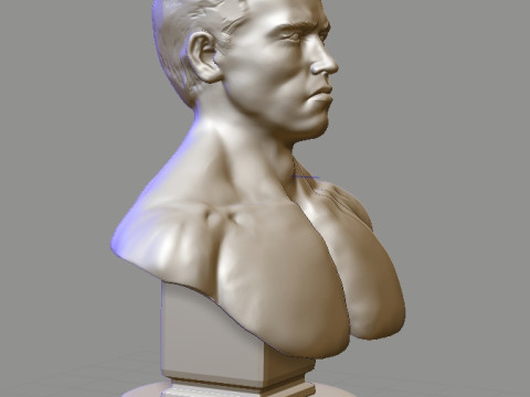 Arnold Schwarzenegger Model Cetak 3D
